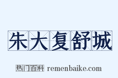 朱大复舒城是什么意思的图片